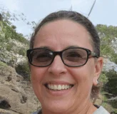 arteris plus review 1